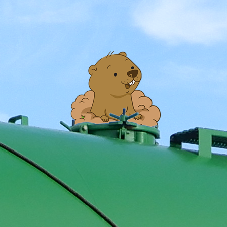 A Groundhog pops his head out of a manway on a storage tank