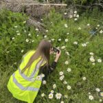 Female student from Easton College identifying flower